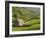 Typical Stone Barns Near Keld in Swaledale, Yorkshire Dales National Park, Yorkshire, England-John Woodworth-Framed Photographic Print