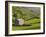 Typical Stone Barns Near Keld in Swaledale, Yorkshire Dales National Park, Yorkshire, England-John Woodworth-Framed Photographic Print