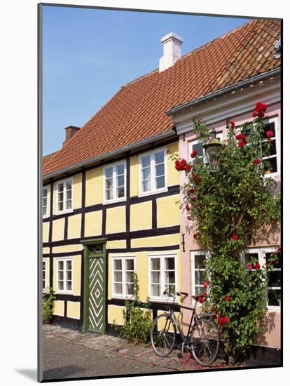 Typical Street of Pastel Houses, Aeroskobing, Aero, Denmark, Scandinavia, Europe-Ken Gillham-Mounted Photographic Print