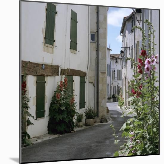 Typical Street Scene with Hollyhocks, St. Martin, Ile de Re, Poitou-Charentes, France, Europe-Stuart Black-Mounted Photographic Print