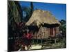 Typical Thatched Wooden Hut on the Island, Caye Caulker, Belize, Central America-Christopher Rennie-Mounted Photographic Print