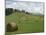 Typical View of the Tuscan Landscape, Le Crete, Tuscany, Italy, Europe-Robert Harding-Mounted Photographic Print