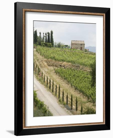 Typical View of the Tuscan Landscape, Le Crete, Tuscany, Italy, Europe-Robert Harding-Framed Photographic Print