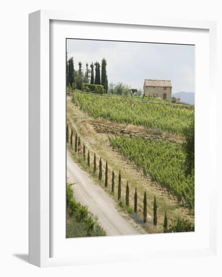 Typical View of the Tuscan Landscape, Le Crete, Tuscany, Italy, Europe-Robert Harding-Framed Photographic Print