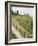 Typical View of the Tuscan Landscape, Le Crete, Tuscany, Italy, Europe-Robert Harding-Framed Photographic Print