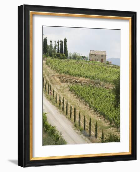 Typical View of the Tuscan Landscape, Le Crete, Tuscany, Italy, Europe-Robert Harding-Framed Photographic Print