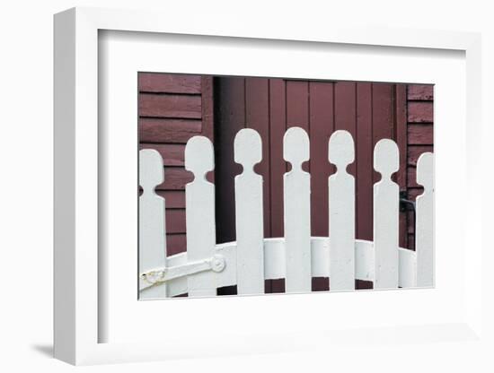 Typical white picket fence, Shaker Village of Pleasant Hill, Harrodsburg, Kentucky-Adam Jones-Framed Photographic Print