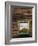 Typical Window Box, Otztal Valley, Tyrol, Austria, Europe-Gary Cook-Framed Photographic Print