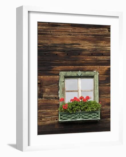 Typical Window Box, Otztal Valley, Tyrol, Austria, Europe-Gary Cook-Framed Photographic Print