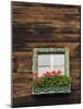 Typical Window Box, Otztal Valley, Tyrol, Austria, Europe-Gary Cook-Mounted Photographic Print