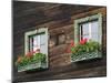 Typical Window Box, Otztal Valley, Tyrol, Austria, Europe-Gary Cook-Mounted Photographic Print