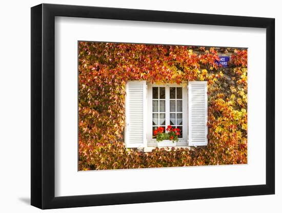 Typical Window Surrounded by Vine in Autumn, Champagne Ardenne, France-Matteo Colombo-Framed Photographic Print