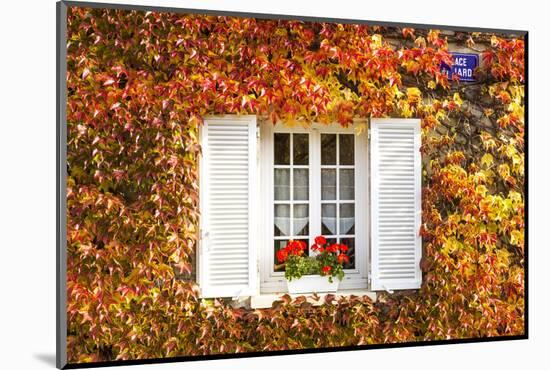 Typical Window Surrounded by Vine in Autumn, Champagne Ardenne, France-Matteo Colombo-Mounted Photographic Print