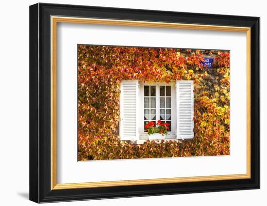 Typical Window Surrounded by Vine in Autumn, Champagne Ardenne, France-Matteo Colombo-Framed Photographic Print