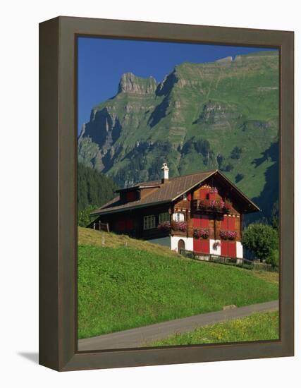 Typical Wooden Chalet with Colourful Shutters, Grindelwald, Bern, Switzerland, Europe-Tomlinson Ruth-Framed Premier Image Canvas