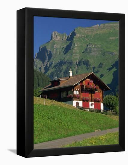 Typical Wooden Chalet with Colourful Shutters, Grindelwald, Bern, Switzerland, Europe-Tomlinson Ruth-Framed Premier Image Canvas