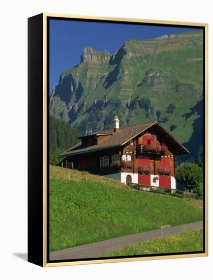 Typical Wooden Chalet with Colourful Shutters, Grindelwald, Bern, Switzerland, Europe-Tomlinson Ruth-Framed Premier Image Canvas