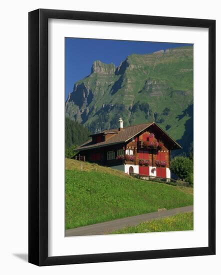 Typical Wooden Chalet with Colourful Shutters, Grindelwald, Bern, Switzerland, Europe-Tomlinson Ruth-Framed Photographic Print