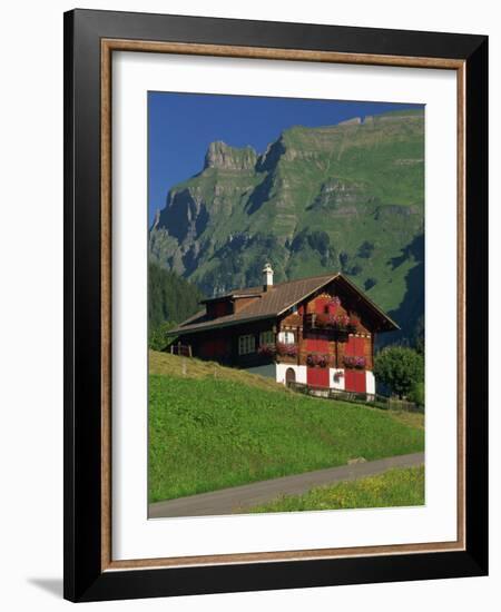 Typical Wooden Chalet with Colourful Shutters, Grindelwald, Bern, Switzerland, Europe-Tomlinson Ruth-Framed Photographic Print