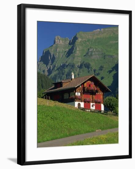 Typical Wooden Chalet with Colourful Shutters, Grindelwald, Bern, Switzerland, Europe-Tomlinson Ruth-Framed Photographic Print