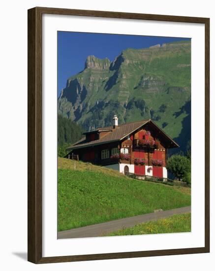 Typical Wooden Chalet with Colourful Shutters, Grindelwald, Bern, Switzerland, Europe-Tomlinson Ruth-Framed Photographic Print