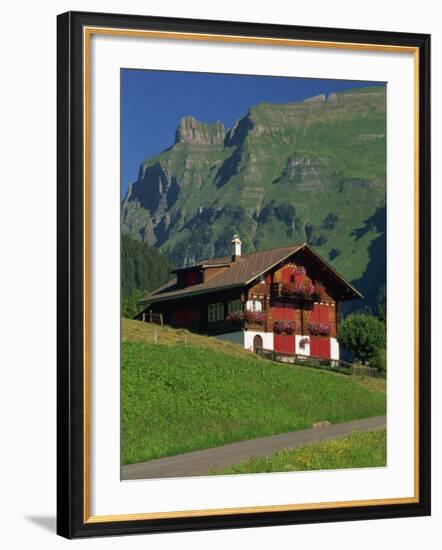 Typical Wooden Chalet with Colourful Shutters, Grindelwald, Bern, Switzerland, Europe-Tomlinson Ruth-Framed Photographic Print