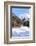 Typical wooden hut framed by woods and snowy peaks, Langwies, district of Plessur, Canton of Graubu-Roberto Moiola-Framed Photographic Print