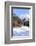 Typical wooden hut framed by woods and snowy peaks, Langwies, district of Plessur, Canton of Graubu-Roberto Moiola-Framed Photographic Print