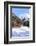 Typical wooden hut framed by woods and snowy peaks, Langwies, district of Plessur, Canton of Graubu-Roberto Moiola-Framed Photographic Print