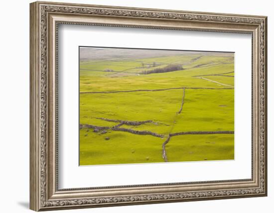 Typical Yorkshire Dales Countryside, Yorkshire, England, United Kingdom, Europe-Julian Elliott-Framed Photographic Print