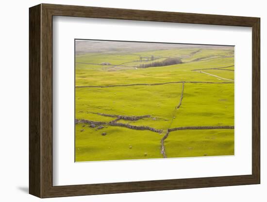 Typical Yorkshire Dales Countryside, Yorkshire, England, United Kingdom, Europe-Julian Elliott-Framed Photographic Print