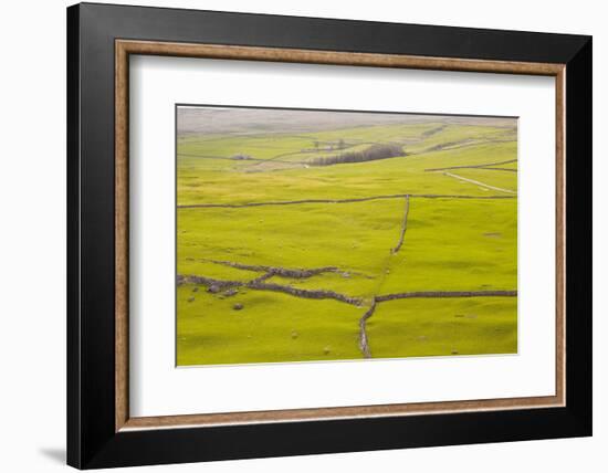 Typical Yorkshire Dales Countryside, Yorkshire, England, United Kingdom, Europe-Julian Elliott-Framed Photographic Print