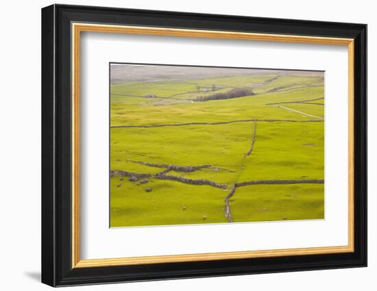 Typical Yorkshire Dales Countryside, Yorkshire, England, United Kingdom, Europe-Julian Elliott-Framed Photographic Print