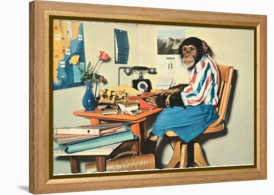 Typing Chimpanzee-null-Framed Stretched Canvas