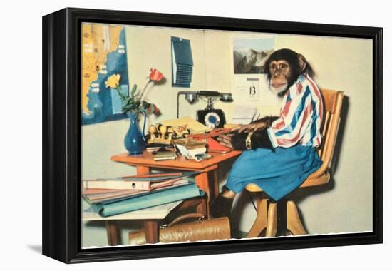 Typing Chimpanzee-null-Framed Stretched Canvas