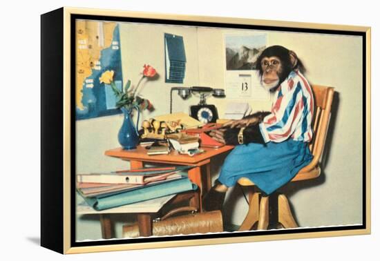 Typing Chimpanzee-null-Framed Stretched Canvas