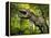 Tyrannosaurus Dinosaur, Artwork-Walter Myers-Framed Premier Image Canvas