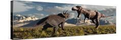 Stretched Canvas Print