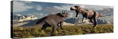 Stretched Canvas Print