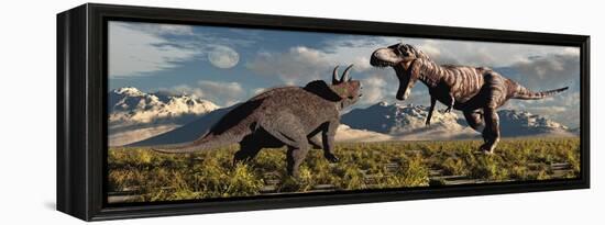 Tyrannosaurus Rex and Triceratops Meet for a Battle to the Death-null-Framed Stretched Canvas