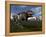 Tyrannosaurus Rex Attacked by Three Triceratops-Stocktrek Images-Framed Stretched Canvas