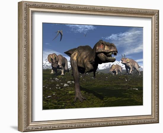 Tyrannosaurus Rex Attacked by Three Triceratops-Stocktrek Images-Framed Art Print