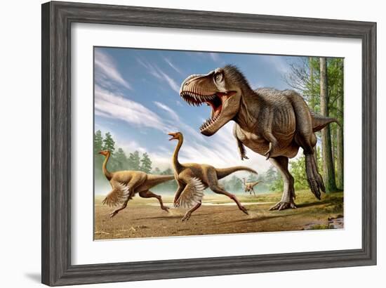 Tyrannosaurus Rex Attacking Two Struthiomimus Dinosaurs-null-Framed Art Print
