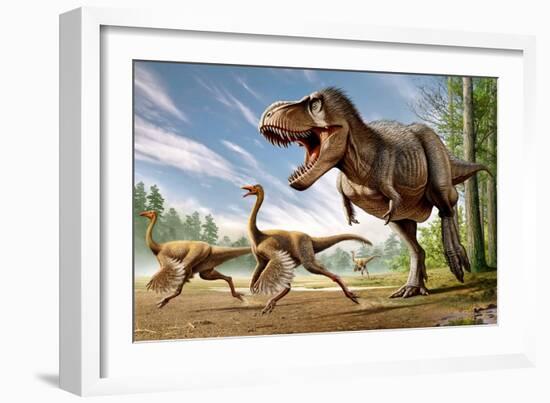 Tyrannosaurus Rex Attacking Two Struthiomimus Dinosaurs-null-Framed Art Print