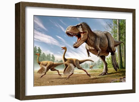 Tyrannosaurus Rex Attacking Two Struthiomimus Dinosaurs-null-Framed Premium Giclee Print