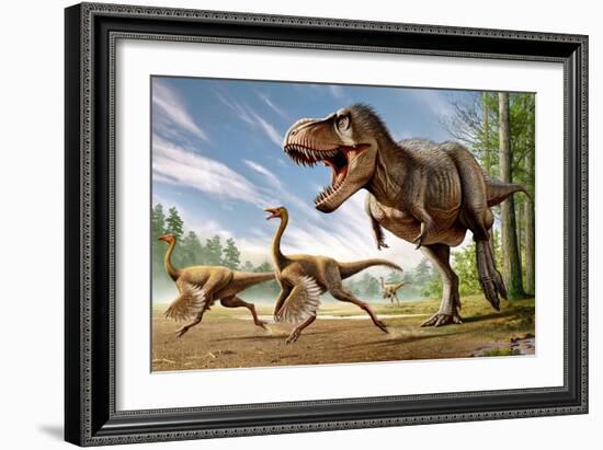 Tyrannosaurus Rex Attacking Two Struthiomimus Dinosaurs-null-Framed Premium Giclee Print