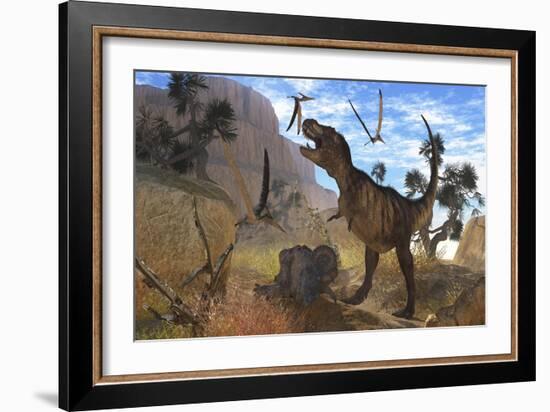 Tyrannosaurus Rex Attempts to Eat His Triceratops Kill While Pteranodons Harass Him-null-Framed Art Print