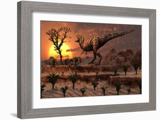 Tyrannosaurus Rex Calling Out to Find a Possible Mate-null-Framed Art Print