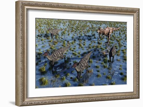 Tyrannosaurus Rex Chasing a Herd of Parasaurolophus Dinosaurs-null-Framed Art Print