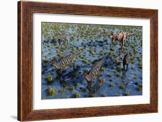 Tyrannosaurus Rex Chasing a Herd of Parasaurolophus Dinosaurs-null-Framed Art Print